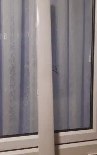 مهتابی خطی