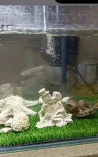 اکواریوم شیشه خم شرکتی