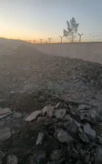 کود گوسفندی