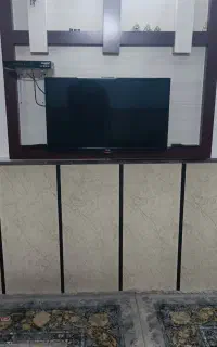 تلویزیون