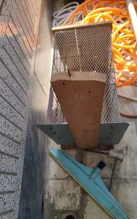 تله حیوانات