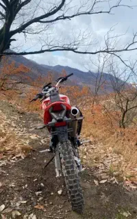 داوطلب موتورسواری