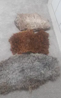 پادری پوست بره