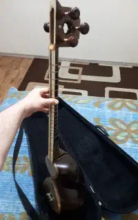 فروش تار ایوان