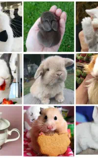 عروسکهای زنده