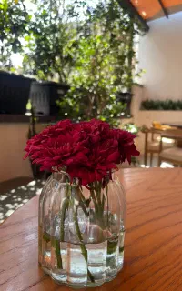 گروه بانوان