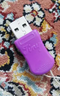 دانگل tiny