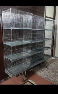 قفس ۱۲خان پژاوند