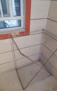قفس