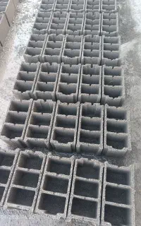 نیروی کار وارد و حرفه ای