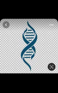 جویای کار هستم