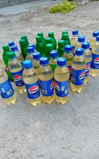 ریکا سیاه  قیمت ۲۰۰