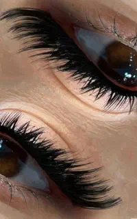 اموزش و خدمات مژه هیدن (آموزش در پنج الی یک هفته )