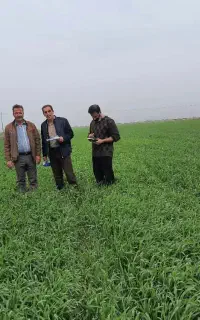 اجرا پیمانکاری کشاورزی و باغداری