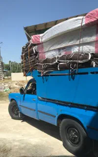 تشک رویال تک و عمده