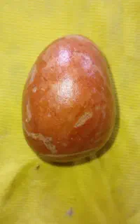 به.قیمت.روز.