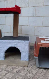 باکس گربه و جای گربه
