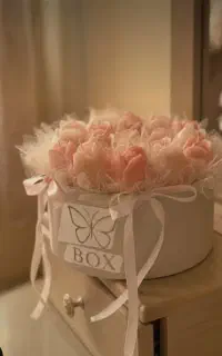 باکس هدیه