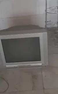 تلوزیون