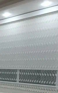 پرده زبرا دومکانیزم