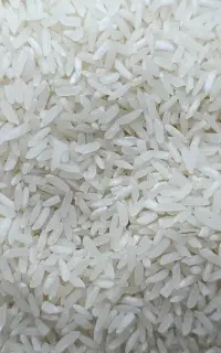 فروش حبوبات و برنج 200هزار تومان