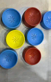 جا تخمی کبوتر در حد نو