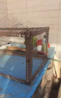 توری