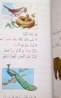 تدریس عربی تضمینی ۱۰۰%