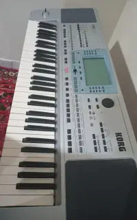 ارگpa50