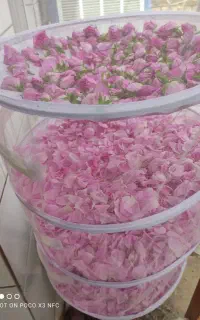 توری میوه و سبزی خشک کن