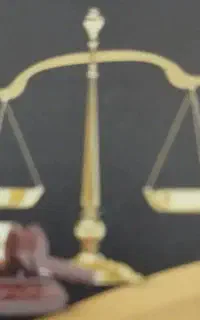 وکیل پایه یک دادگستری خانم