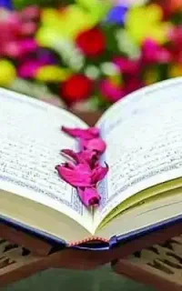 با کتاب صبیان سریع و طالع