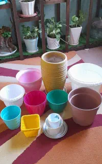 گلدون در حدنو