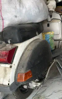 وسپا سالم