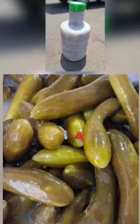 فروش خیارشورعمده همدان
