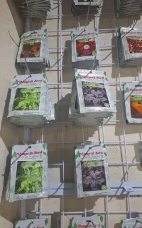 بذر صیفی جات ، بذر سبیزیجات، بذر گل های فصل