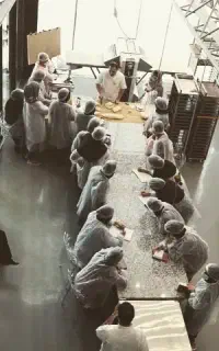 راه اندازی و آموزش پرسنل کافه نان
