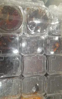 بازاریاب