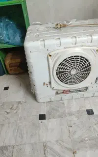 کولرابی درحدنوسالم