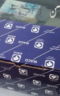 سرسیلندر پژو و سمند