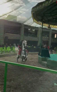 سیلمی کورد فروشی