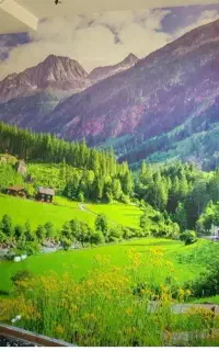 نصاب کاغذ دیواری.وپوستر.نقاشی