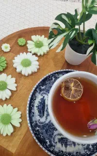 شمع بابونه قیمت مناسب