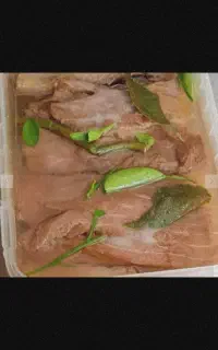 فروش ماهی هوور سوری