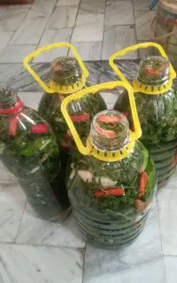 خیارشور