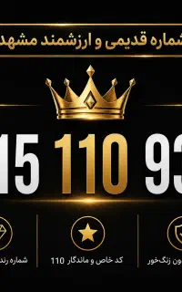 شماره رند و کلکسیونی 915 با کد خاص 110