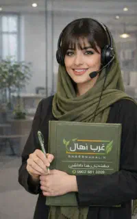 فروش نهال صنوبر به سیب هلو شلیل الو البالو گلدانی