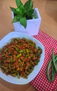 انواع محصولات خانگی