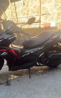 155  نیوفیس
