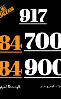 917.384.7004